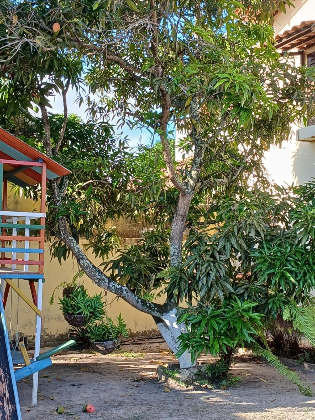 Barra Nova Marechal Deodoro